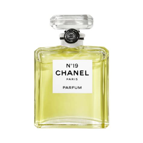 n 19 chanel|where to buy chanel 19.